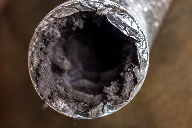 Best Local Air Duct Cleaning Services  in Williams, CA