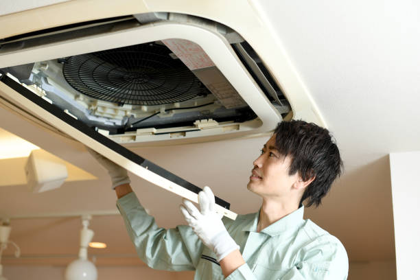 Best Air Duct Cleaning Near Me  in Williams, CA