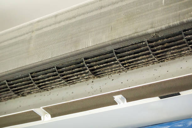 Best HVAC Duct Inspection Services  in Williams, CA