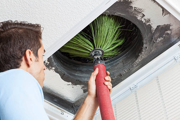 Best HVAC Maintenance and Cleaning  in Williams, CA