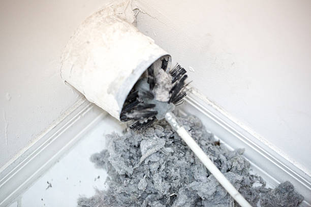 Best HVAC Air Duct Cleaning  in Williams, CA